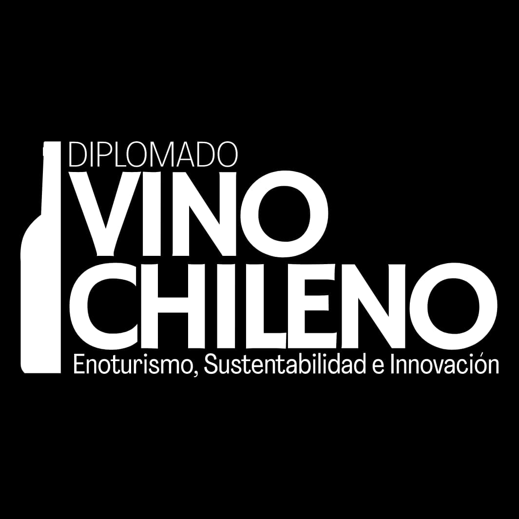 Logo de diplomadovinochileno
